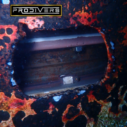 Diver Image