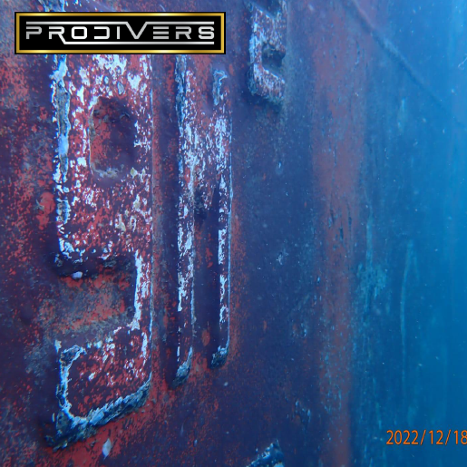 Diver Image