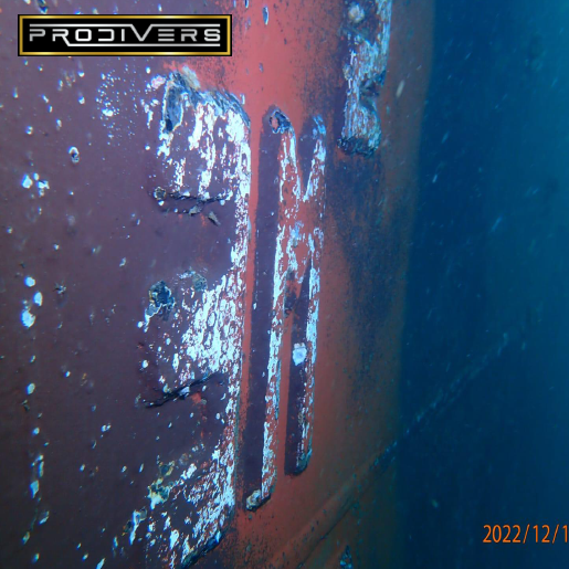 Diver Image