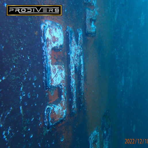 Diver Image