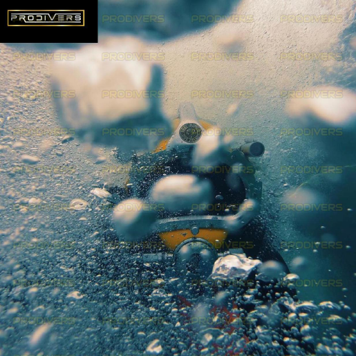 Diver Image