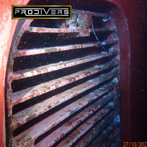 Diver Image