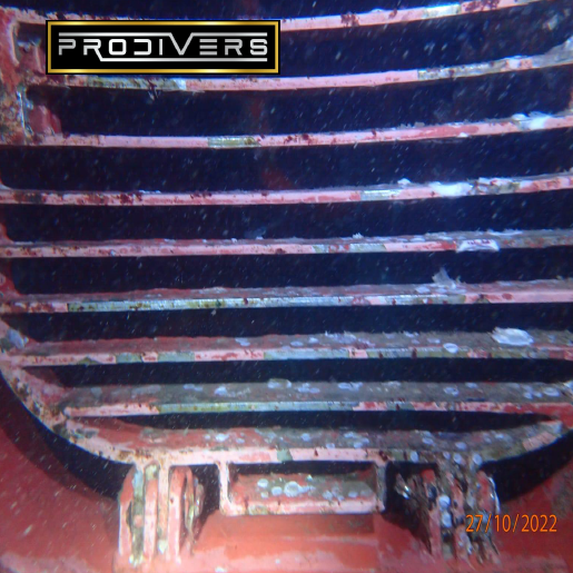 Diver Image