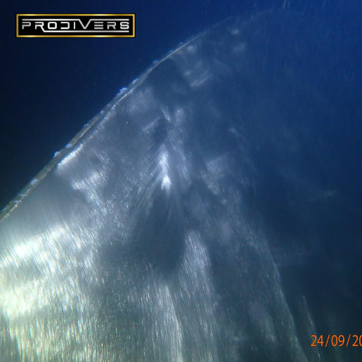 Diver Image