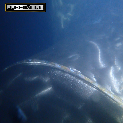 Diver Image