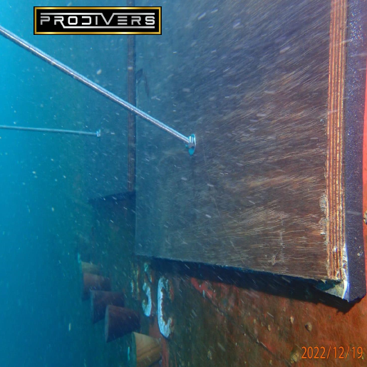 Diver Image